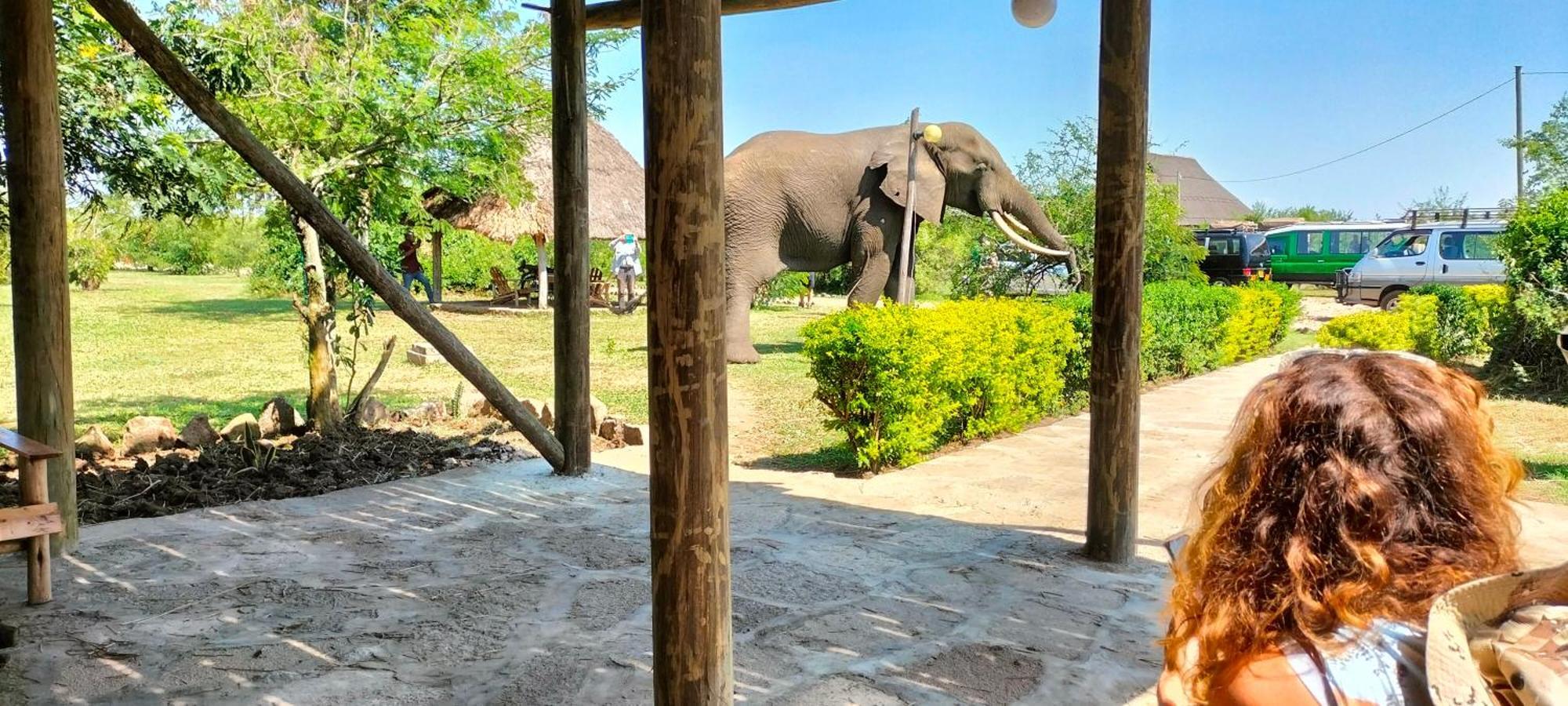 Engiri Game Lodge And Campsite Katunguru Exterior photo